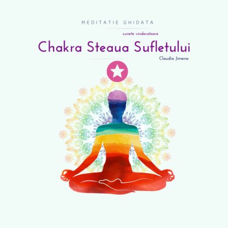 Meditatie ghidata cu sunete vindecatoare Chakra Steaua Sufletului Centrul AmaneSer