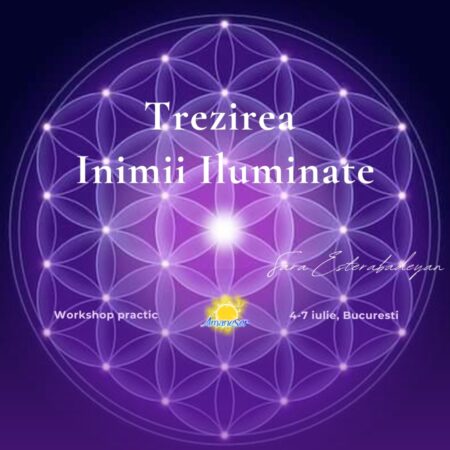 Workshop Trezirea Inimii Iluminate