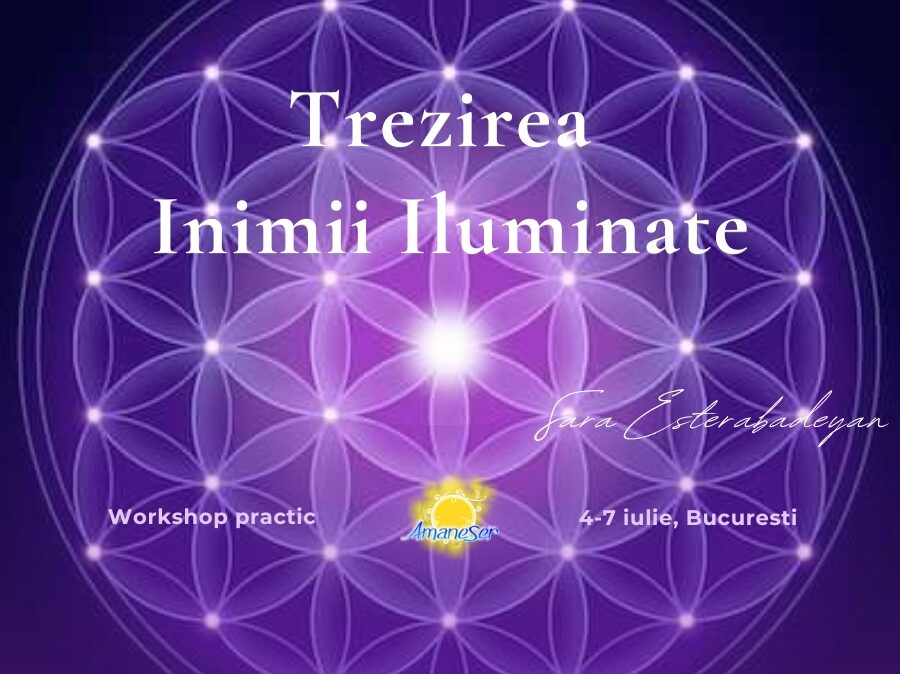 Workshop Trezirea Inimii Iluminate