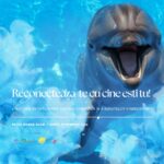 Calatorie initiatica prin energia Christica si a sunetelor vindecatoare Egipt