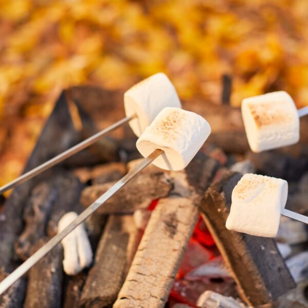 Retreat de armonizare cu energia echinoctiului de toamna - cu sunete vindecatoare si vibratiile magice ale gongului