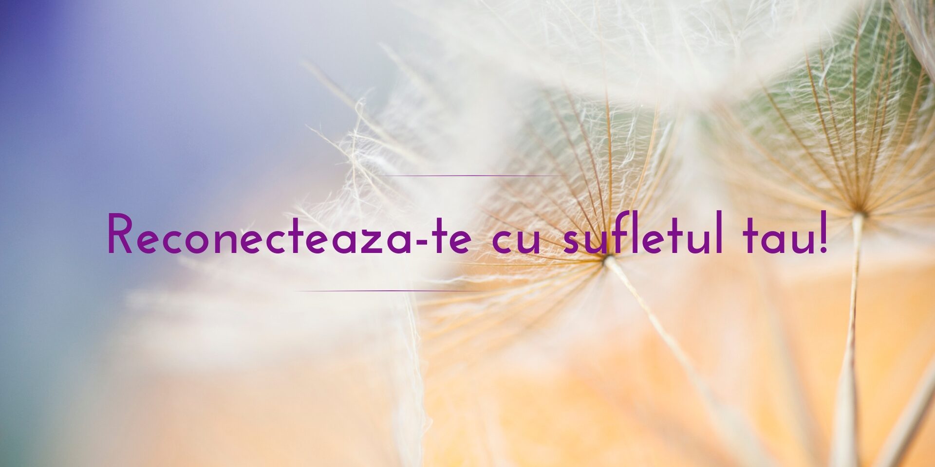Reconecteaza-te cu sufletul tau! Reconectaza-te cu sufletul tau!